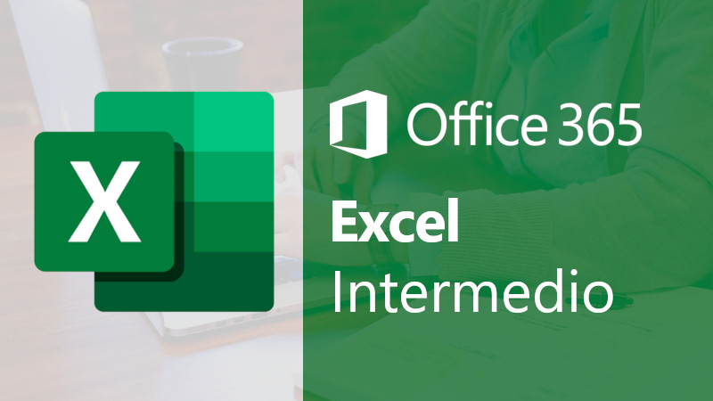 MS Excel 365, nivel Intermedio
